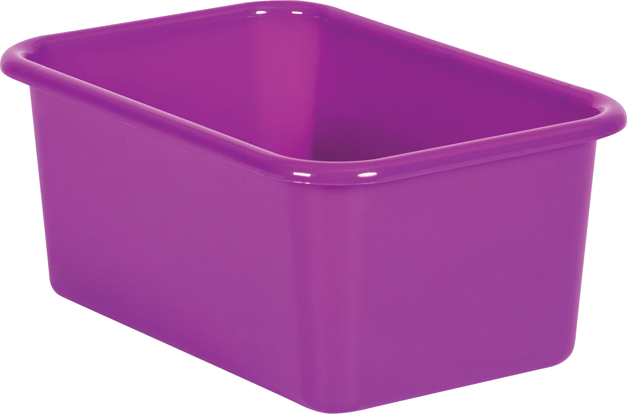 Purple Small Plastic Storage Bin