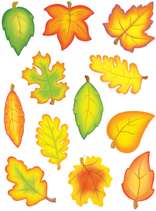 Fall Leaves Accents