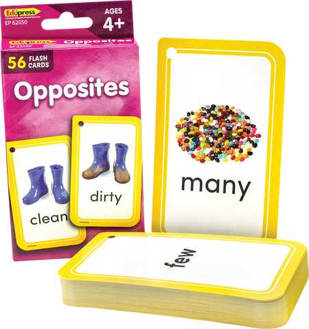 Double-sided, durable cards. For home or classroom use! Teaching tips and activity suggestions included.