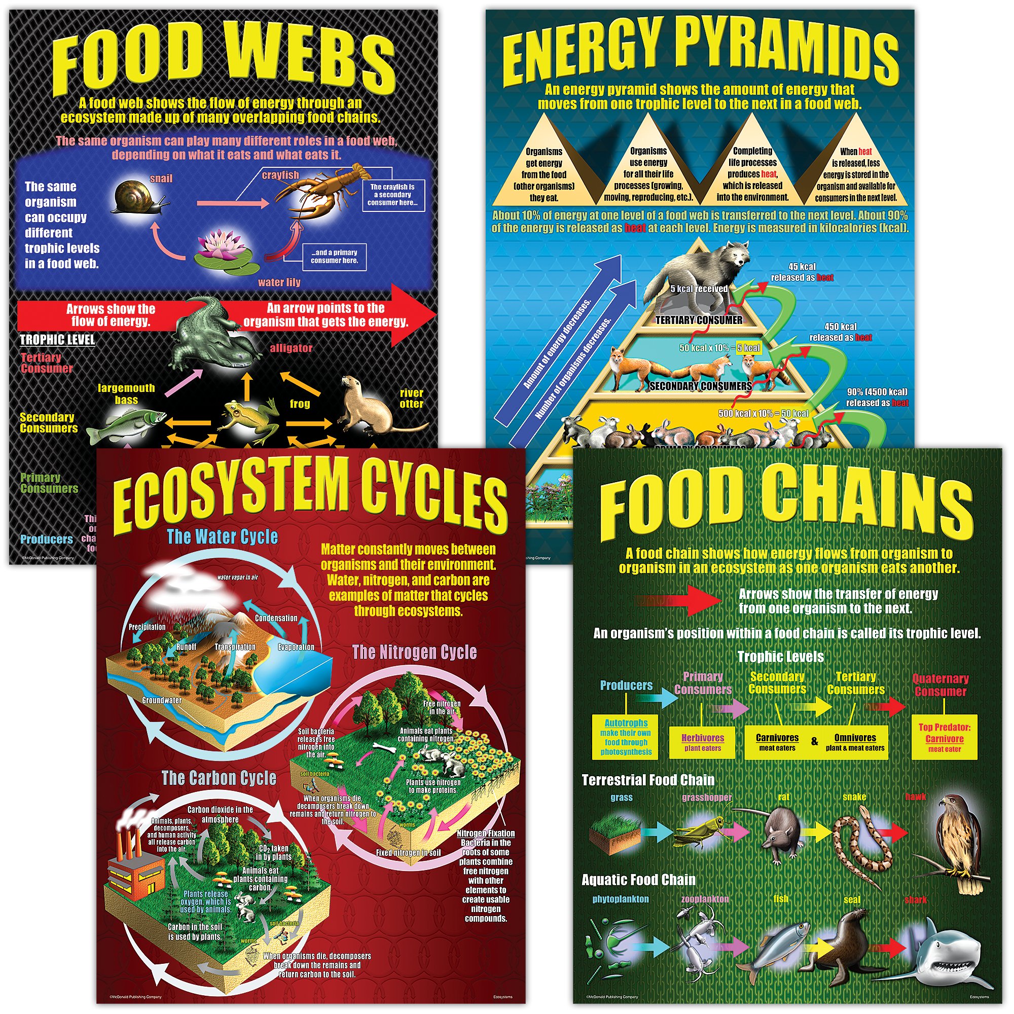 Posters focusing on food chains, food webs, and energy pyramids show students how energy moves through an ecosystem and the interactions between organisms within it. Cycle models show how matter flows through organisms and the physical environment. Package includes 4 posters, 4 reproducible activity sheets, and a helpful teacher’s guide.