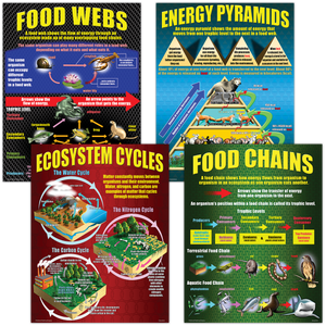 Posters focusing on food chains, food webs, and energy pyramids show students how energy moves through an ecosystem and the interactions between organisms within it. Cycle models show how matter flows through organisms and the physical environment. Package includes 4 posters, 4 reproducible activity sheets, and a helpful teacher’s guide.